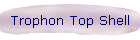 Trophon Top Shell