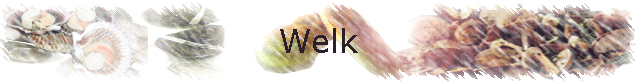 Welk