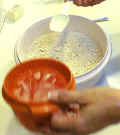 piecrust_add_water.jpg (21947 bytes)