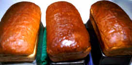 Bread Loaves.jpg (479055 bytes)