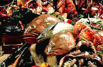 Fish.jpg (71417 bytes)
