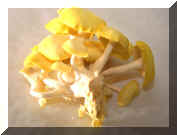 Yellow Oyster2.jpg (131331 bytes)
