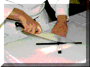 wpe12.gif (8805 bytes)